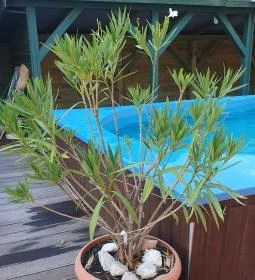 Harcsási 60 Vendégház