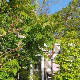 Hard Pop Café, Budapest - Egyéb