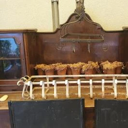 Három Nyulak Specialty Kávézó, Törökbálint - Egyéb