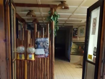 Hársfa Presszó Bugac Hársfa Presszó Bugac