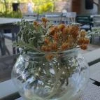 Hárskert Vendéglő Badacsony - Egyéb