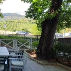 Hárskert Vendéglő Badacsony - Egyéb