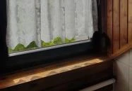 Hattyú Étterem Panzió Tata