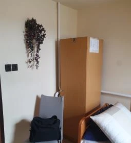 Hattyú Étterem Panzió