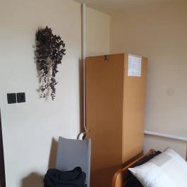 Hattyú Étterem Panzió Tata - Egyéb