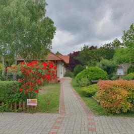 Hattyú Étterem Panzió Tata - Egyéb