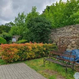 Hattyú Étterem Panzió Tata - Egyéb