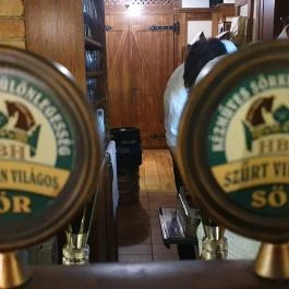 HBH Bajor Sörház & Étterem, Eger - Egyéb