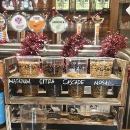 Hedon Sörfőzde Balatonvilágos - Egyéb