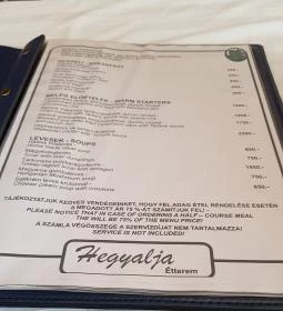 Hegyalja Vendéglő Panzió