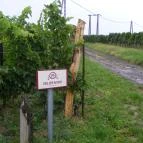 Heimann Birtok Szekszárd - Egyéb