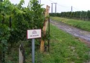 Heimann Birtok Szekszárd