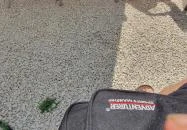 Hekk kunyhó Taksony