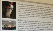 HelloHal Halfalatozó Tiszafüred - Tiszaörvény - Egyéb