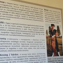 HelloHal Halfalatozó Tiszafüred - Tiszaörvény - Egyéb