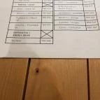 Helyszín Budapest - Étlap/itallap