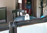 Hetes Tanszék Presszó Debrecen