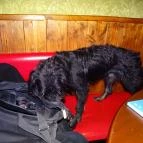 Hintaló Iszoda Budapest - Belső