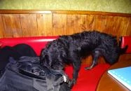 Hintaló Iszoda Budapest