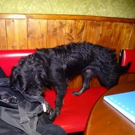 Hintaló Iszoda Budapest - Belső