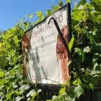 Hirschmann Fagyizó Zamárdi - Egyéb