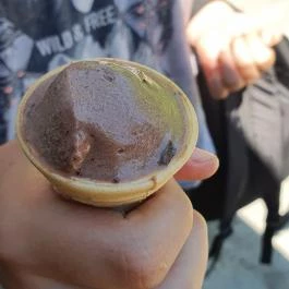 Hirschmann Fagyizó Zamárdi - Egyéb