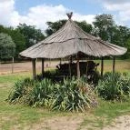 Homoki Asztal Ruzsa - Egyéb