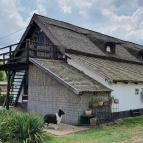 Homoki Asztal Ruzsa - Egyéb