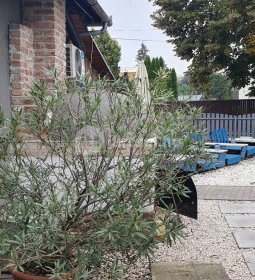 Horgonyzó Kisvendéglő