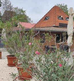 Horgonyzó Kisvendéglő