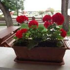 Hortobágyi Csárda Hortobágy - Egyéb