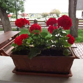 Hortobágyi Csárda Hortobágy - Egyéb