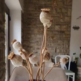 Hosszú Tányér gourmet-ház Hosszúhetény - Egyéb