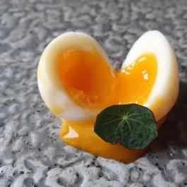 Hosszú Tányér gourmet-ház Hosszúhetény - Egyéb