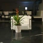 Hotel Arkadia Pécs - Egyéb