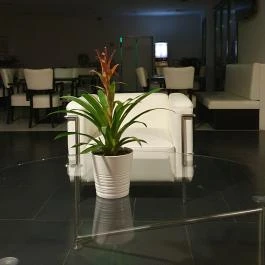 Hotel Arkadia Pécs - Egyéb