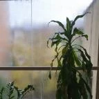 Hotel Charles Budapest - Egyéb