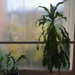 Hotel Charles, Budapest - Egyéb