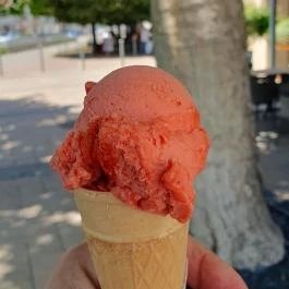 Ice Cream Zagreb Siófok - Egyéb