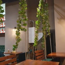 Impasto Ristorante , Budapest - Egyéb