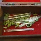 Indian Palate Budapest - Egyéb