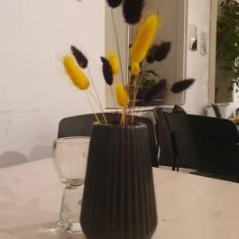 Inga Kultúrkávézó, Budapest - Egyéb