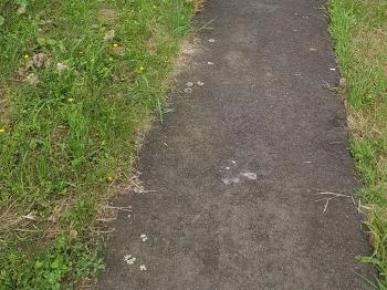 Italbolt Sarkadkeresztúr