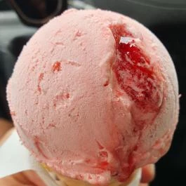 Jávor Cukrászda & Fagyizó, Dabas - Egyéb