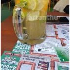 Jégkert - Budai Sörkert Budapest - Egyéb