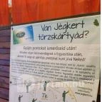 Jégkert - Budai Sörkert Budapest - Egyéb