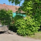 Jóbarát Csárda Deszk - Külső kép