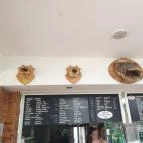 Jóbarátok halsütöde Balatonalmádi - Egyéb