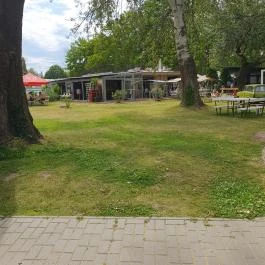 Jóbarátok halsütöde, Balatonalmádi - Egyéb