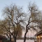 Jobb Mint Otthon Kisvendéglő Szeged - Egyéb